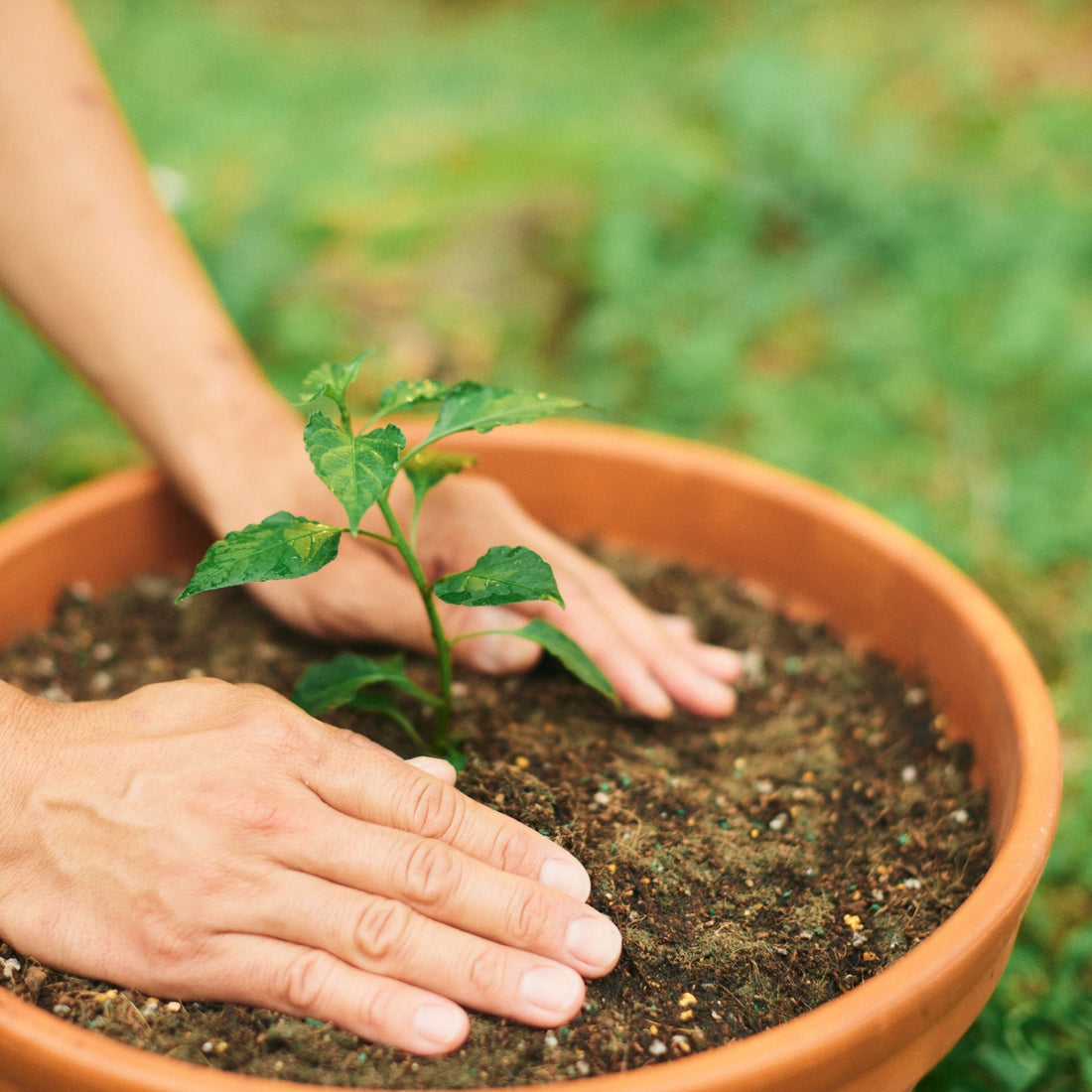 Continuous Improvement